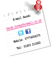 Sarah Hovey on Twitter