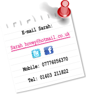 Sarah Hovey on Twitter